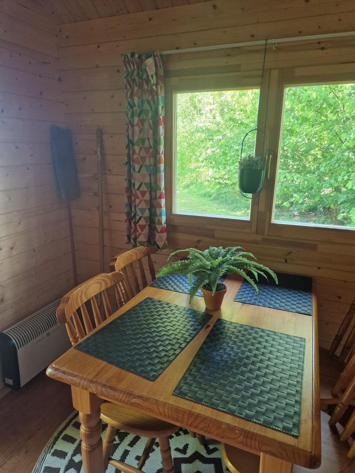 Camping Alkenhaer Appelscha Blokhut Basic エクステリア 写真